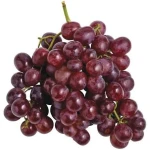 Wholesale Cheap Quality Fresh Grapes Ready to be shipped.