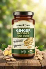 Premium Quality Ginger Powder Natural Spice for Health and Flavor