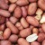 Import Peanuts from Uzbekistan