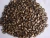 Import Dried Watermelon Seeds(Citrullus Lanatus) from South Africa