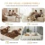 Import Two-seater  sofa lounge chair from China