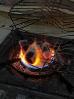 Coconut Shell Briquette Charcoal