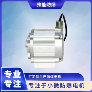 brushless permanent magnet motor for oil and gas recovery