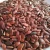 Import Dried Watermelon Seeds(Citrullus Lanatus) from South Africa