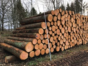 Available Douglas Fir Sawn Timber and Logs