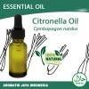 Citronella Oil 100% Natural by Aromatik Jaya Indonesia