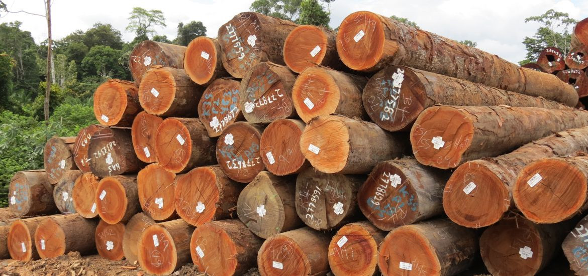 Buy African Timber from Wintercorn Import & Export Global Trading Pty ...