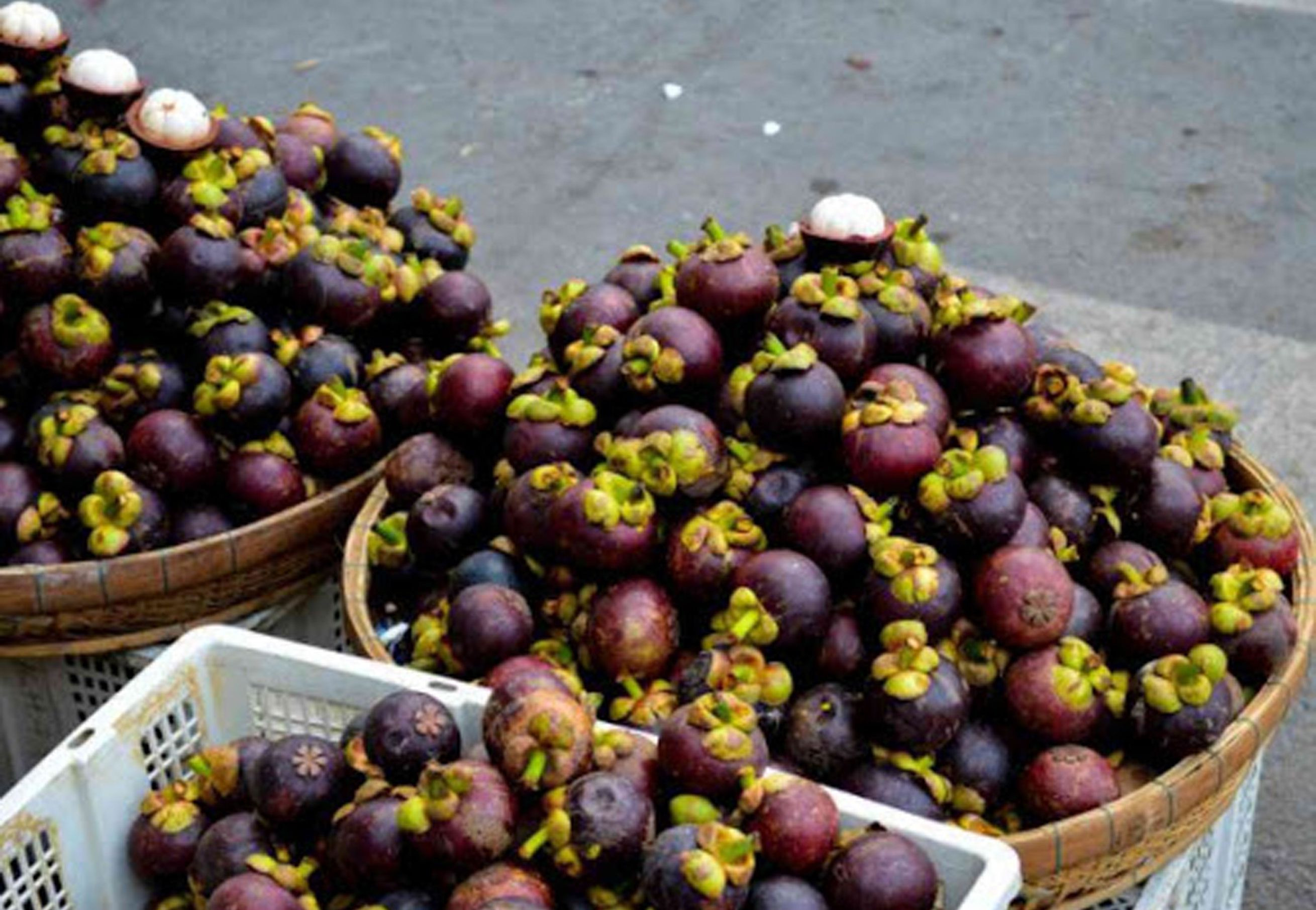 Java Mango Buy Java Fresh Mangosteen from Agyagro, Indonesia | Tradewheel.com