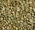 arabica coffee beans