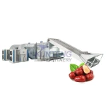 High Quality Dryer Stainless Steel Black Tea Dryer Vegetable Black Pepper Drying Machine Betelnut Bell Drying Equipment