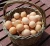 Import Organic Fresh Chicken Table Eggs for sale from South Africa