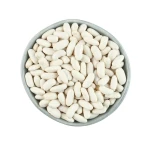 Premium White Kidney Beans For Sale Fresh Natural Kidney Beans Bulk Packed With High Quality And 98% Clean White Color