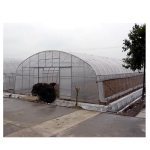 Commercial used commerica greenhouse for agriculture
