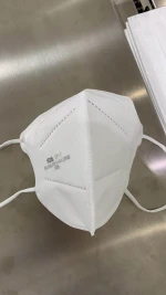 Mask