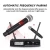 Import Wireless Microphone with Receiver For Family Karaoke Meeting Small Gathering Partybest Classic Karaoke Microphone VM302 from China
