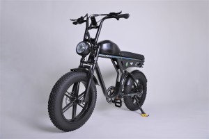 Giorrad OEM Customizable Electric Folding Bike 48V 500W