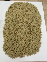 Green lentils