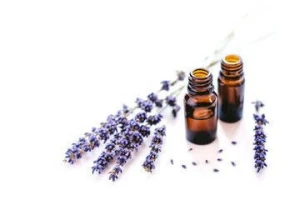 Lavender essential oil (Bulgarian)