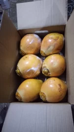 King Coconut