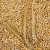 Import Animal feed barley/bulk barley Malted Barley / Barley Grains from South Africa