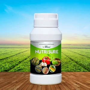 Nutri Sure is specially developed to enhance the overall growth of crops.