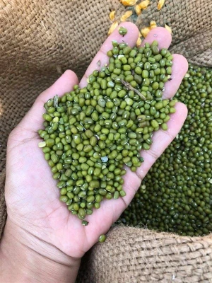 Green Mung bean
