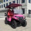Low-Speed Customized Color 48V 72V AC Motor Electric Golf Cart 2+2 Seater