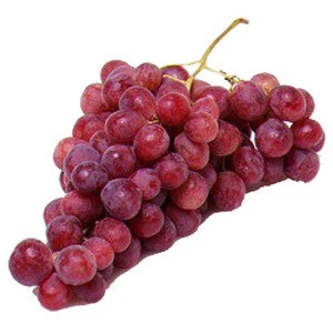 100% top quality Fresh Grapes