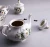 Import 17 Piece bone china Ceramic Coffee Tea Gift Sets fine bone china tea cup and saucer from China