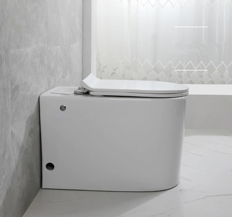 2020 Amaze New design sanitary ware ceramic wc toilet without tank