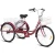 Import 2020 new design OEM brand fat tire  bike 3 wheel  tricycle bike/bicycle from China
