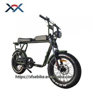 2021 Power Long Seat Electric Fat Bike 500w Rear Motor Retro Model Electric Bicycle 73