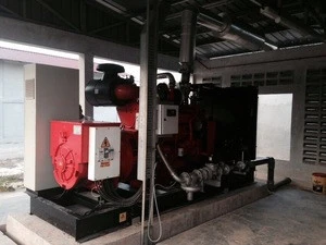 20KW-500KW New Energy Natural Gas,Biomass ,Biogas,Energy Electrical Generator