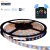 Import 220V 110V RGB LED Strip Lights 5050 50m 100m multicolor flexible roll IP65 Outdoor Waterproof Dual Color Rope Led Light Strip from China
