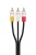 Import 3RCA to 3RCA plug stereo audio cable  AV cable DVD and AV receiver for HDTVs from China