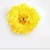 Import 4024 Huangju Flower Tea Imperial Chrysanthemum from China