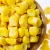 Import 425g food suppliers wholesale food vegetable sweet corn canned from China