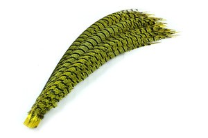 80-90cm wholesale lady zebra pheasant tail feather cheap pheasant feather