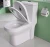 Import 9131 China supplier bathroom siphonic one piece WC toilet with high quality from China