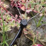 Agricultural-Irrigation-Sprinkler-On-Sale Micro-Sprinklers For Irrigation Agricola