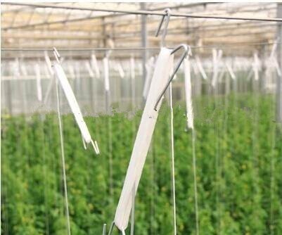 Agricultural metal trellising tomato hook with pp twine