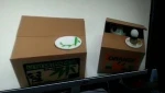 Amazon hot selling steal coin cat money box automated lovely cat piggy bank