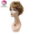 Import Angelbella Brazilian Machine Made Wig Human Hair Color Wigs 30# 8 Inch Short Virgin Human Hair Wig from China