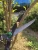 Import anvil bypass lopper telescopic handle tree branch pruning shears pruner grass hedge shear from China