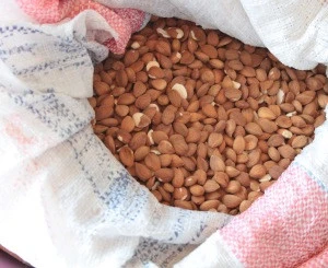 Apricot Kernels - Sweet and Bitter Available