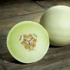 Australian Fresh Honeydew Melon