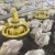 Import Automatic Poultry Chicken Poultry Equipment Broiler Pan Feeder from China