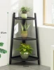 Bamboo Flower Plant Stand Indoor