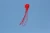 Import Beautiful Large Easy Flyer Kite For Kids Red Mollusc Octopus Nylon Monofilament Kite Thread from China