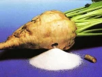 Beet sugar